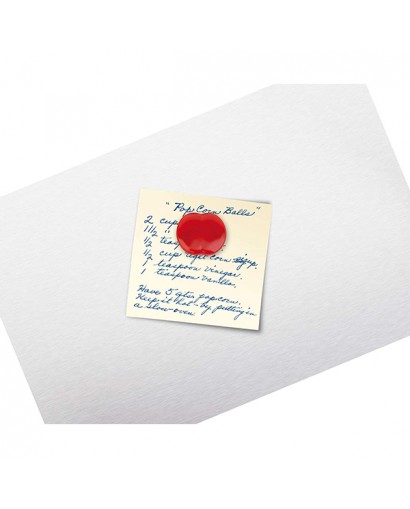 Tescoma Presto magneti forma frutta 6 pezzi