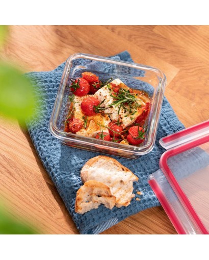 Emsa Clip & Close vetro...