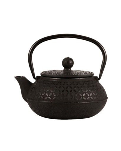 Ilsa Teiera giapponese con...