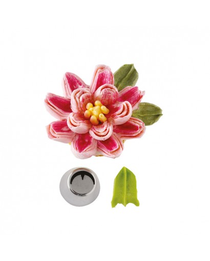 Decora Cornetto blisterato 5 foglia con nervatura frastagliata