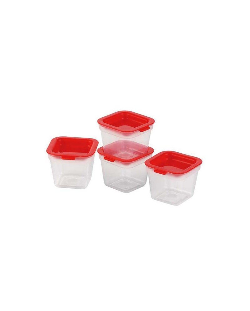 Tescoma Purity mini contenitori per freezer set 4 pezzi