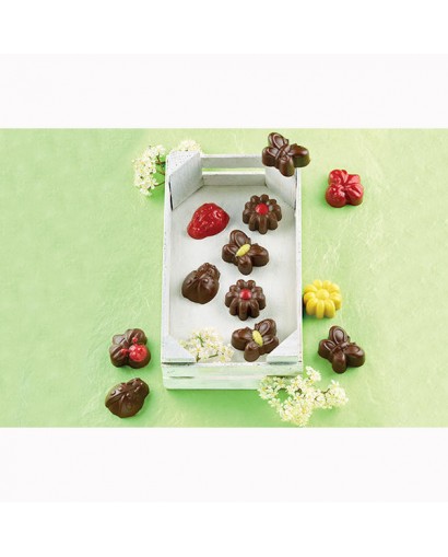 Silikò Choco garden